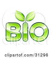 Poster, Art Print Of Two Green Leaves Sprouting From Bio Text