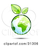 Poster, Art Print Of Planet Earth Outlined In Green With Two Fresh Leaves Floating Above
