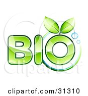 Poster, Art Print Of Two Green Leaves Sprouting From The O Of The Word Bio Text With A Circle And Bubbles