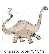 Poster, Art Print Of Brown Apatosaurus Or Brontosaurus Dinosaur With A Long Neck And Tail