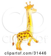Poster, Art Print Of Adorable Spotted Baby Giraffe Running