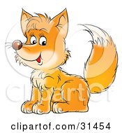 Poster, Art Print Of Friendly Young Fox Kit Sitting And Glancing At The Viewer