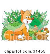 Poster, Art Print Of Adorable Bushy Tailed Fox Sitting In Front Of Bushes By A Stump With Mushrooms