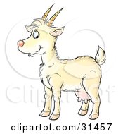 Poster, Art Print Of Yellow Goat With Udders And Horns In Profile Facing Left