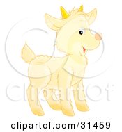 Poster, Art Print Of Adorable Yellow Baby Goat With Small Horns