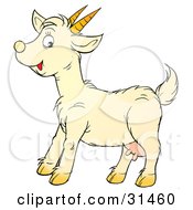 Poster, Art Print Of Friendly Little Goat With Udders And Sharp Pointy Horns