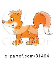 Clipart Illustration Of An Adorable Orange Fox Kit In Profile Facing Left