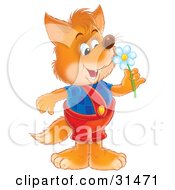 Clipart Illustration Of A Cute Fox Dressed In Overalls Smelling A Spring Daisy Flower