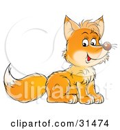 Poster, Art Print Of Cute Little Fox Cub Sitting And Facing To The Right