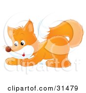 Poster, Art Print Of Cute Playful Fox Crouching