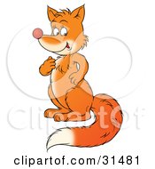 Clipart Illustration Of A Bushy Tailed Fox Sitting Up On Its Hind Legs And Touching Its Chest by Alex Bannykh
