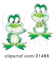 Two Cute Chatty Green Frogs Talking