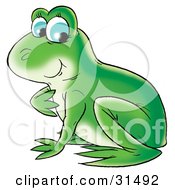 Poster, Art Print Of Pretty And Cute Green Frog With Blue Eyes
