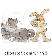 Poster, Art Print Of Tough Bunny Rabbit Standing Up To A Scared Wolf