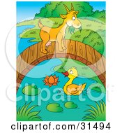 Poster, Art Print Of Cute Goat Crossing Over A Duck On A Pond On A Wooden Foot Bridge