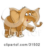 Poster, Art Print Of Happy Brown Baby Elephant Walking On A White Background