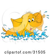 Poster, Art Print Of Playful Elephant Swimming And Splashing In Water On A White Background