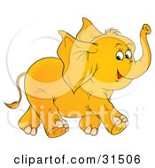 Poster, Art Print Of Happy Baby Elephant With Big Ears Running And Holding Its Trunk Up On A White Background