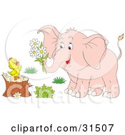 Poster, Art Print Of Pink Elephant Holding Daisies In Its Trunk Giving Them To A Baby Chick Standing On A Tree Stump On A White Background