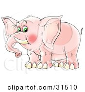 Poster, Art Print Of Chubby Pink Elephant With Tusks And Blushing Cheeks On A White Background