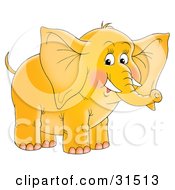Poster, Art Print Of Cute Yellow Elephant With Blushed Cheeks And Tusks On A White Background