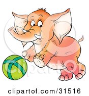 Poster, Art Print Of Playful Baby Elephant With Tusks Chasing A Green Ball On A White Background