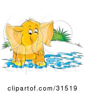 Poster, Art Print Of Cute Elephant Standing In Shallow Water On Shore On A White Background