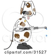 White And Brown Spotted Dog Wearing Boots Standing Up On His Hind Legs And Operating A Power Washer