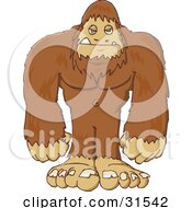 Clipart Illustration Of A Big Hairy Sasquatch Or Big Foot Standing And Facing Front by PlatyPlus Art #COLLC31542-0079