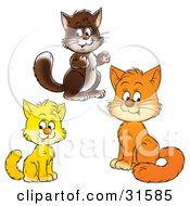 Poster, Art Print Of Brown Yellow And Orange Kitty Cats Looking At The Viewer