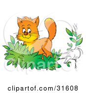 Poster, Art Print Of Cute Ginger Kitten Exploring The Outdoors Standing In Leaves At The End Of A Tree Branch