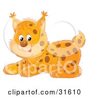Poster, Art Print Of Playful Spotted Lynx Kitten Crouching