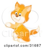 Poster, Art Print Of Ginger Kitten With White Paws And Cheeks Sitting Up On His Hind Legs And Holding One Paw Up