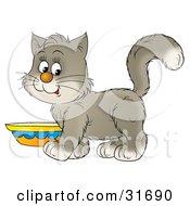 Poster, Art Print Of Cute Gray And White Kitten Standing By A Saucer Of Milk
