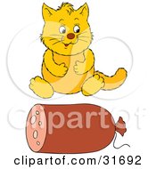 Clipart Illustration Of An Overweight Yellow Cat Sitting In Front Of A Roll Of Sausage