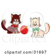 Poster, Art Print Of Two White And Brown Kittens Wearing Bows Playing With A Ball Glancing At The Viewer