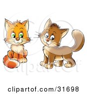 Poster, Art Print Of Two Frisky Orange And Brown Kitty Cats Looking At The Viewer