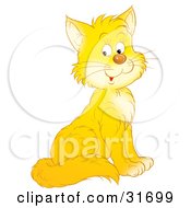 Poster, Art Print Of Adorable Yellow Kitty Cat With White Cheeks And Chest