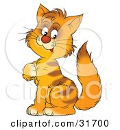 Poster, Art Print Of Cute Orange Striped Kitty Cat Sitting And Scratching His Chest
