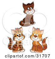 Poster, Art Print Of Group Of Three Brown And Striped Kittens Smiling