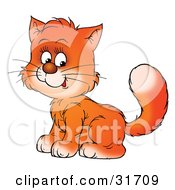 Poster, Art Print Of Sweet Ginger Kitty Cat Sitting With Its Body Facing Left Its Head Turned Towards The Viewer