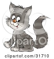 Poster, Art Print Of Cute Gray Kitty Cat With Stripes Sitting And Smiling
