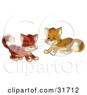 Poster, Art Print Of Two Playful Brown Kitty Cats Being Frisky