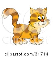 Poster, Art Print Of Happy Kitten With Stripes On Orange Fur Walking To The Right
