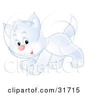 Poster, Art Print Of Cute Playful White Kitty Cat Running Past