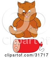 Poster, Art Print Of Chubby Brown Cat Sitting In Front Of A Roll Of Sausage