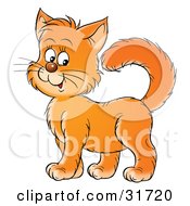 Poster, Art Print Of Friendly Orange Kitty Cat Standing Proud And Smiling