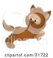 Poster, Art Print Of Cute Leaping Brown Kitten Jumping And Looking Back