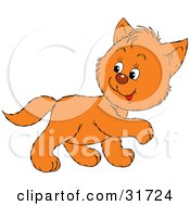Poster, Art Print Of Cute Ginger Kitten Walking To The Right Looking Back Over His Shoulder