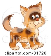 Poster, Art Print Of Cute Brown Kitty Cat With Spots Smiling At The Viewer